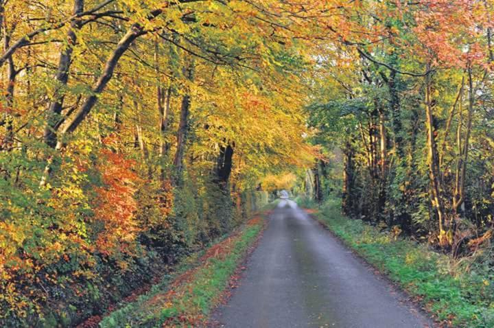 Greenway Guesthouse Mullingar Esterno foto